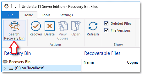 Undelete server search recovery bin ribbon