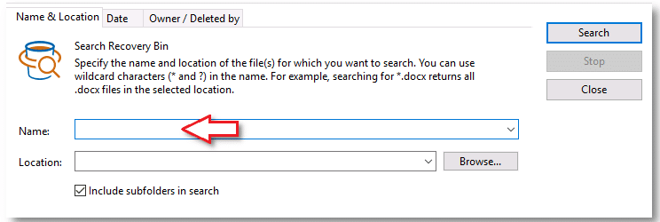 Undelete server search recovery name